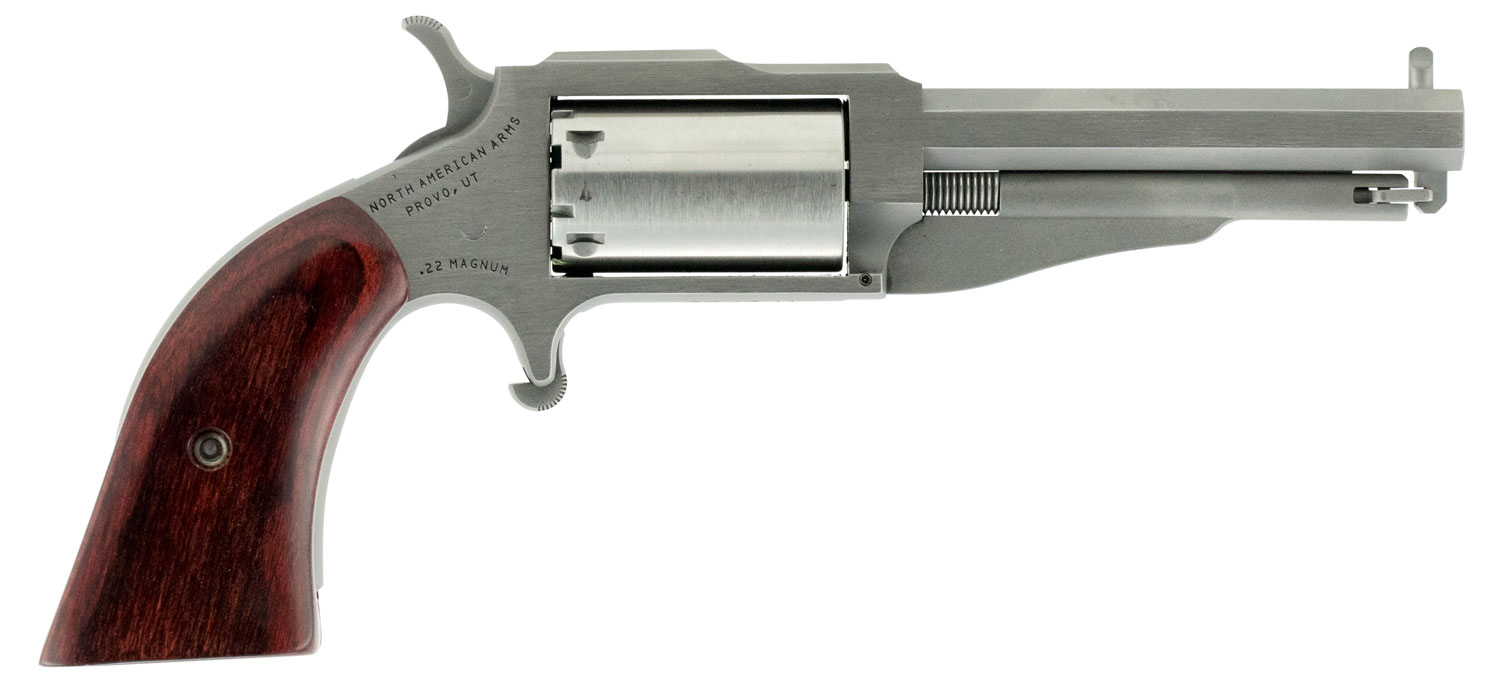 NAA 18603C      EARL 22LR/22MAG 3IN