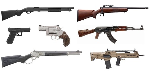 OTHER FIREARMS